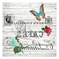 Easy Transfer 25×25 cm ARTEBELLA 5820v