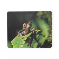 Make-Up Mouse Photos Of Animals For The Computer