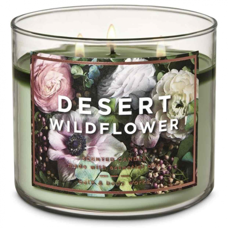 DESERT WILDFLOWER شمعه ثلاث فتلات 