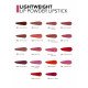 Lightweight Lip Powder Lipstick