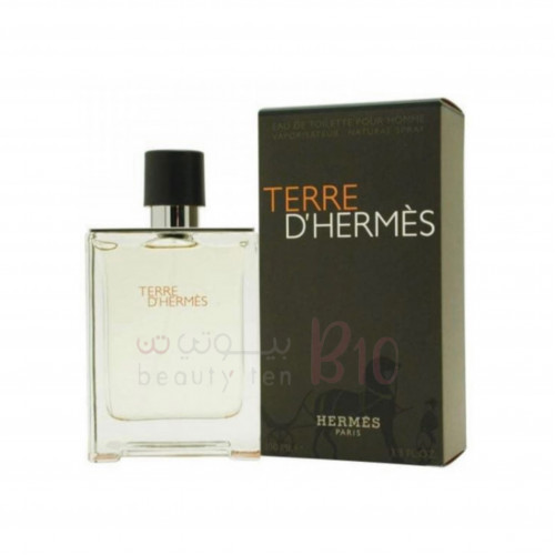 Hermes Terry De Hermes Toilette for Men 100ml