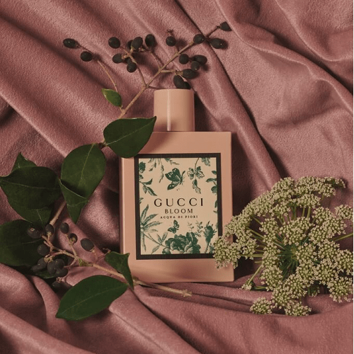 Gucci Bloom Acqua Di Fiori For Women - Eau de Toilette 100ml