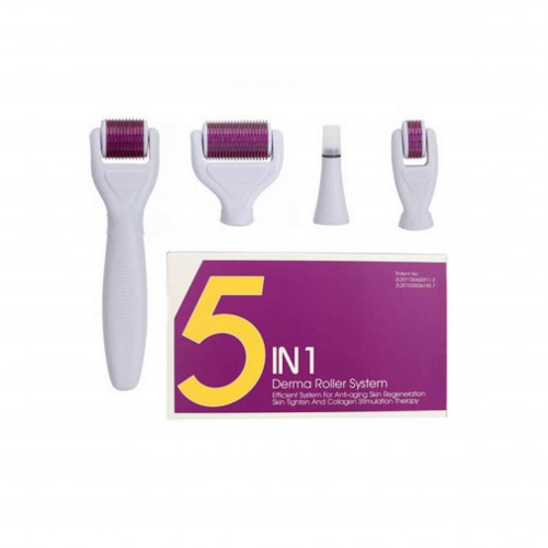 5In1 Derma Roller System