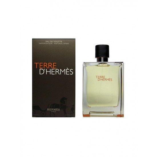 Hermes Terry De Hermes Toilette for Men 100ml