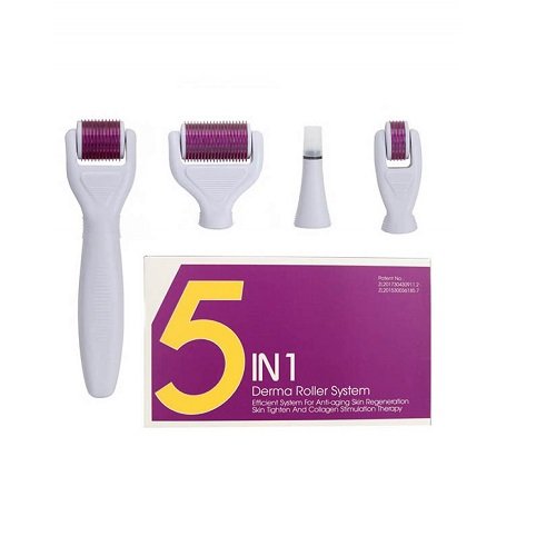 5In1 Derma Roller System