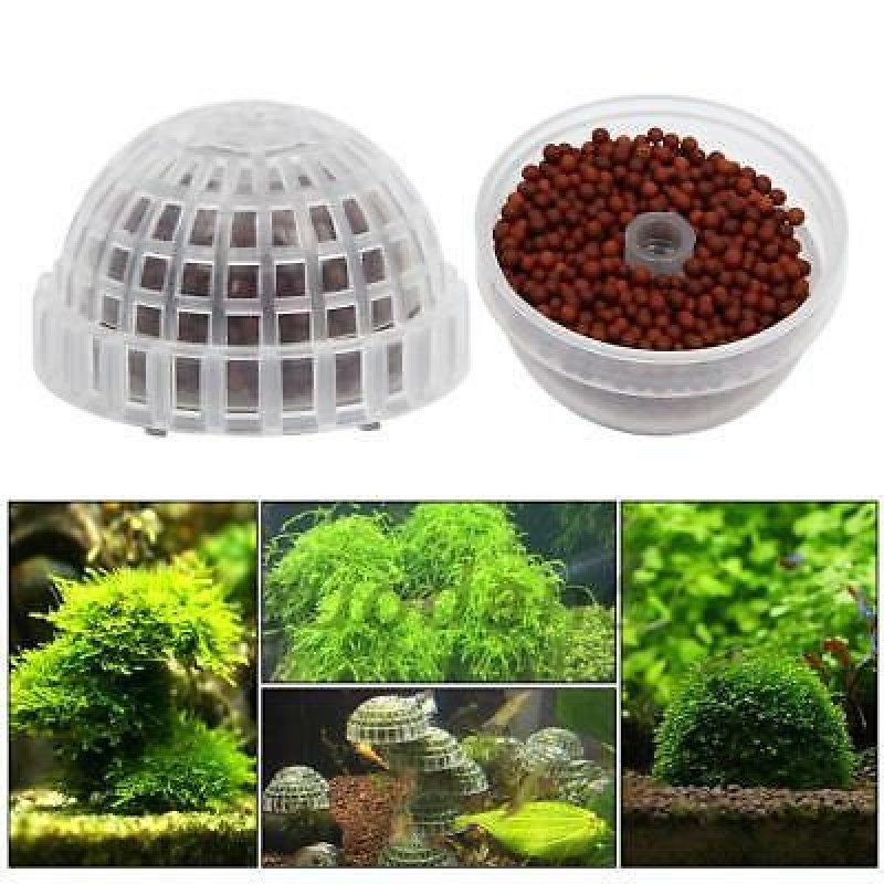 أداة صناعة كورة من نبات الجافا موس أداة صناعة كورة من نبات الجافا موس