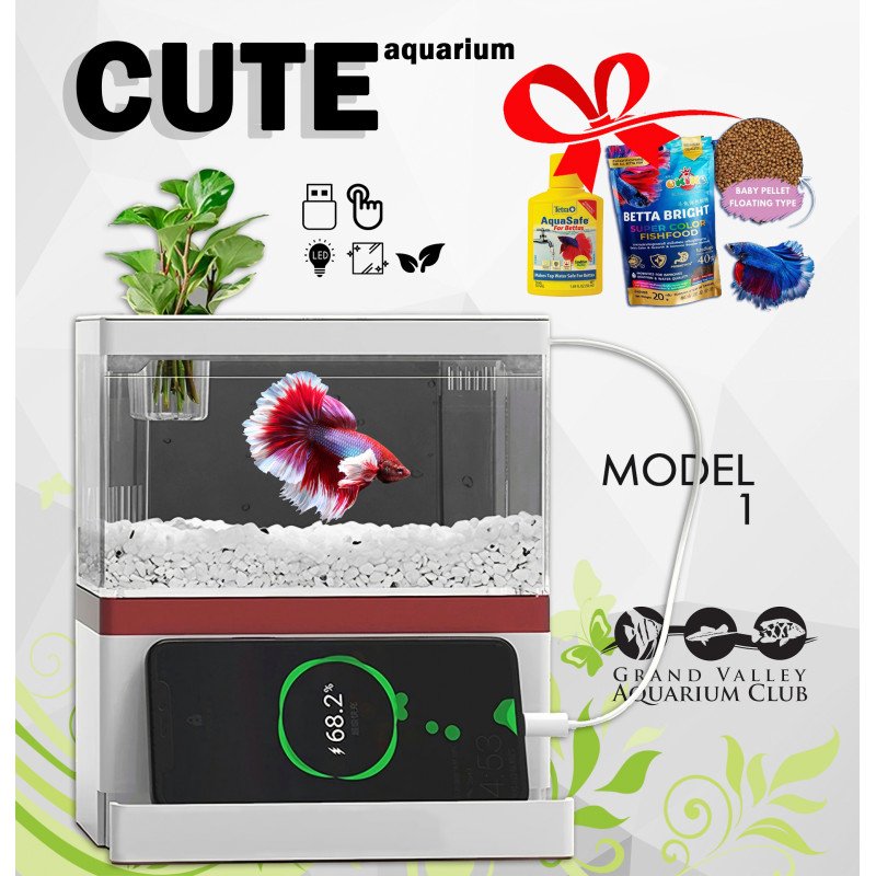 الحوض الكيوت كامل صغير مميز مع فلتر وإضاءة USB من شركة - Zaohetian aquarium size 1 الحوض الكيوت كامل صغير مميز مع فلتر وإضاءة USB من شركة - Zaohetian aquarium size 1