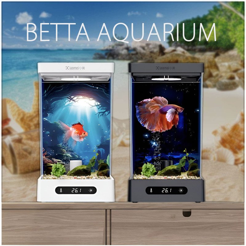 حوض الفايتر بمميزات فريدة وبحجم مثالي - Xiaomei Aquarium حوض الفايتر بمميزات فريدة وبحجم مثالي - Xiaomei Aquarium