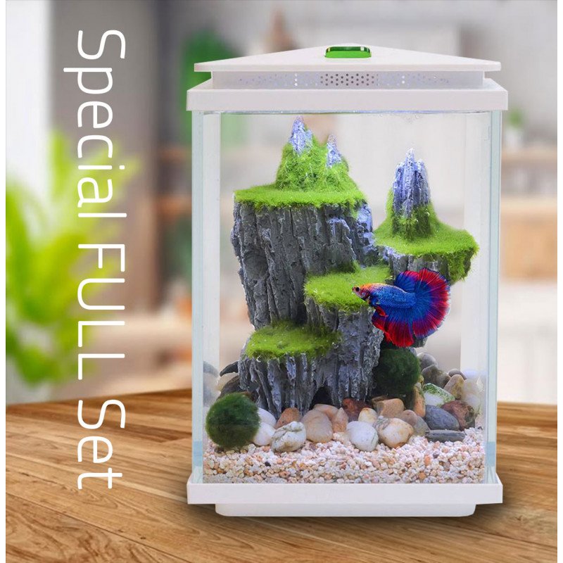 مجموعة حوض زجاجي مع مضخة هواء وفلتر وإضاءة نهرية - QANVEE aquarium مجموعة حوض زجاجي مع مضخة هواء وفلتر وإضاءة نهرية - QANVEE aquarium