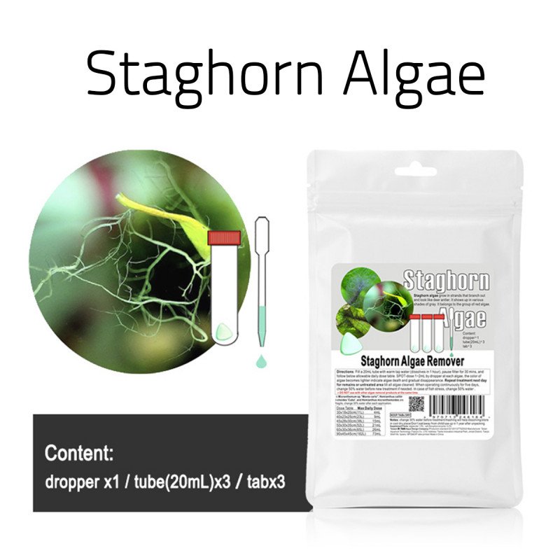 مكافح الطحالب العنيدة القرون الشعرية - Staghorn Algae مكافح الطحالب العنيدة القرون الشعرية - Staghorn Algae