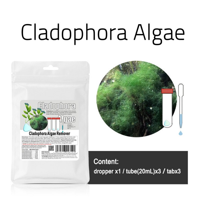 مكافح الطحالب العنيدة الشعر الأخضر - Cladophora Algae مكافح الطحالب العنيدة الشعر الأخضر - Cladophora Algae