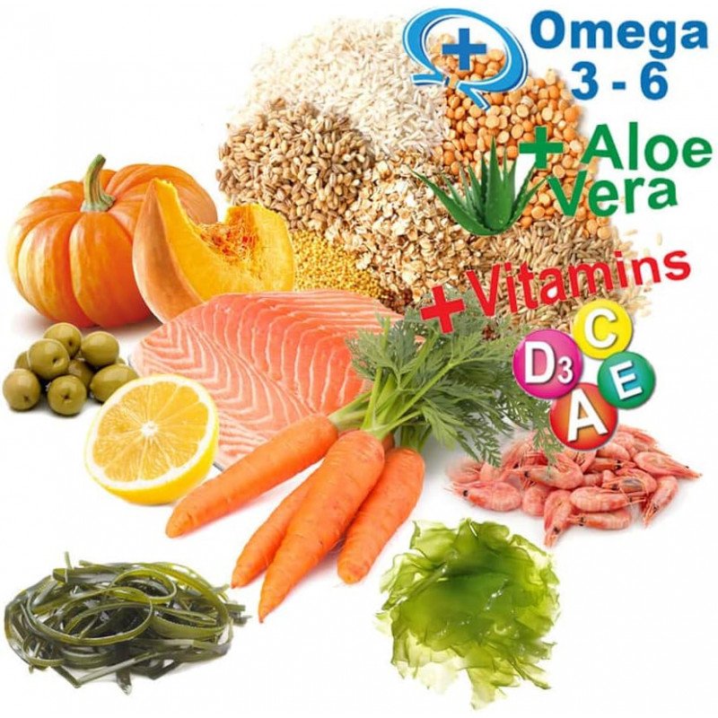 غذاء أسماك البيتا مع الفيتامينات - Prodac betta food غذاء أسماك البيتا مع الفيتامينات - Prodac betta food