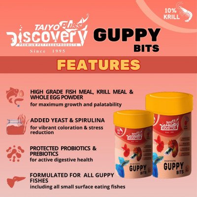 غذاء حبوب للأسماك الجوبي - Discovery GUPPY BITS غذاء حبوب للأسماك الجوبي - Discovery GUPPY BITS