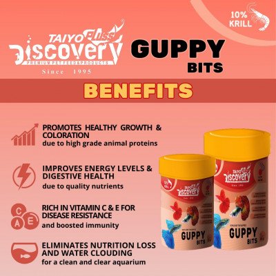 غذاء حبوب للأسماك الجوبي - Discovery GUPPY BITS غذاء حبوب للأسماك الجوبي - Discovery GUPPY BITS