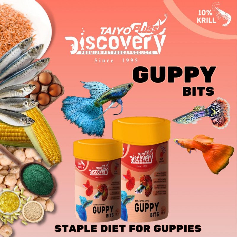 غذاء حبوب للأسماك الجوبي - Discovery GUPPY BITS غذاء حبوب للأسماك الجوبي - Discovery GUPPY BITS