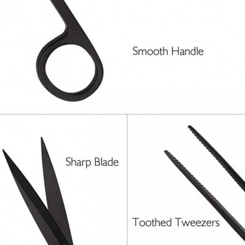 مقص مستقيم لقص النباتات بحجم 25سم (أسود) مقص مستقيم لقص النباتات بحجم 25سم (أسود)