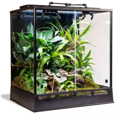 الصيانة والتنظيف