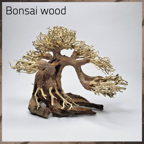 خشب من النوع Bonsai wood مجسم رقم 5 (معالج)