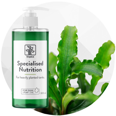 نباتات وتوابعها 