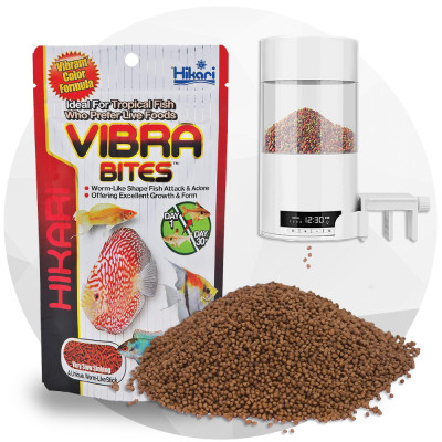 غذاء الاسماك