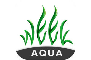 Week Aqua