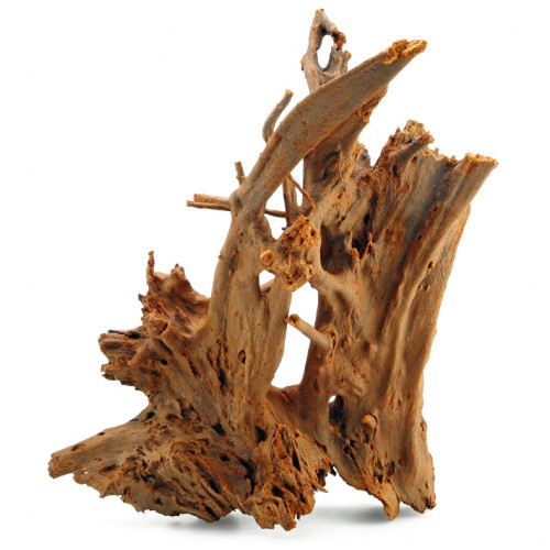 خشب المنجروف الصلب باللون الخشبي المحمر - Mangrove Driftwood