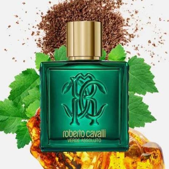 عطر أومو فيرد أسولوتو للرجال من روبرتو كافالي - أو دو برفيوم 100 مل عطر أومو فيرد أسولوتو للرجال من روبرتو كافالي - أو دو برفيوم 100 مل