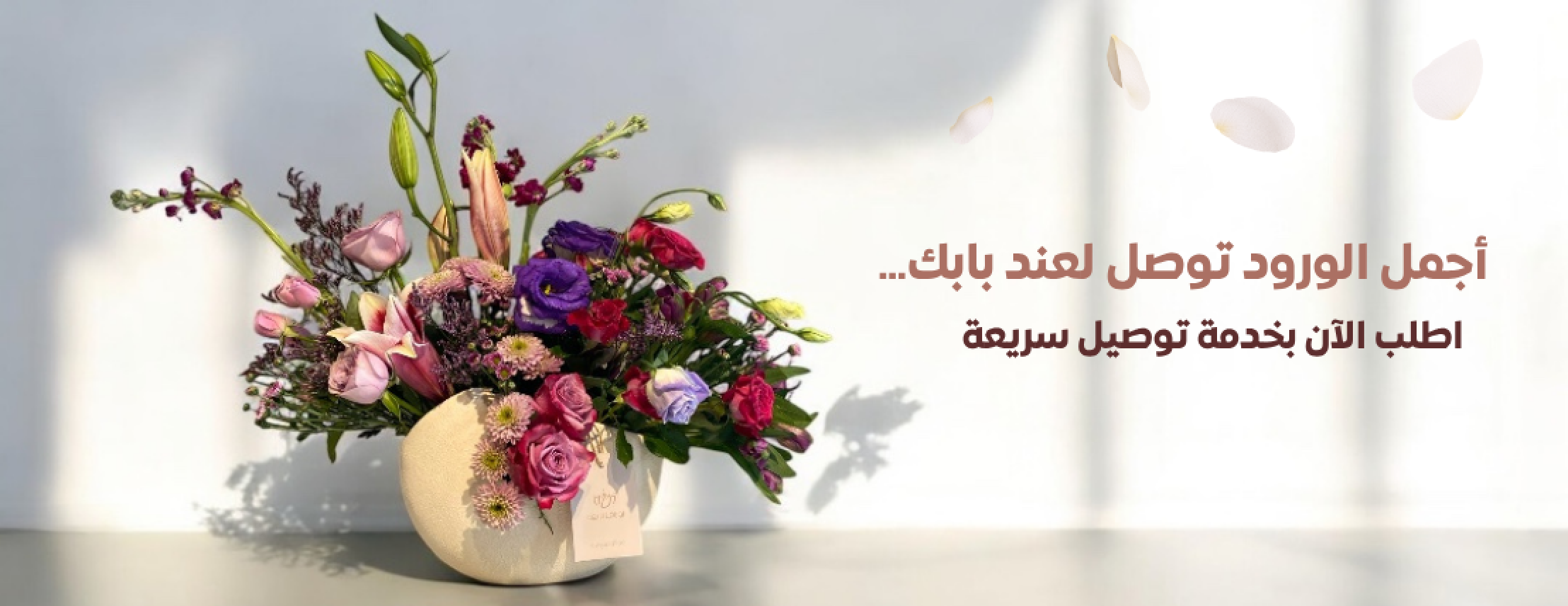 العروض الأسبوعية