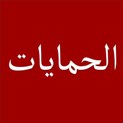 الحماية