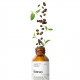 The Ordinary Caffeine Solution 5% + EGCG - 30ml