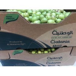 Fresh Organic Green Olives 1 kg alwatania 