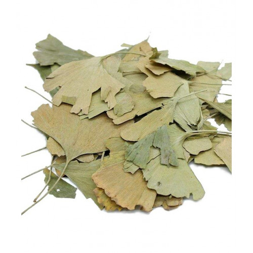 Natural Ginkgo Leaf