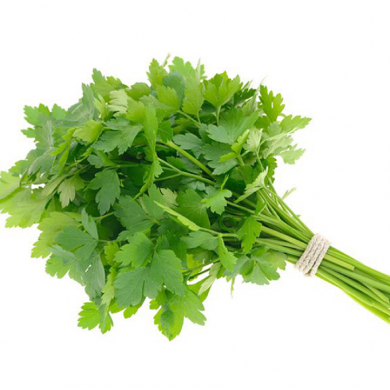 Organic parsley, alsalwa Farm Organic parsley, alsalwa Farm