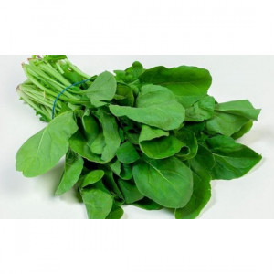 Organic arugula, Shahwan Farm