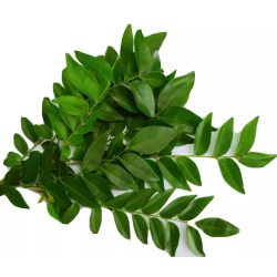 Fresh organic curry leaves from alspawn house farm