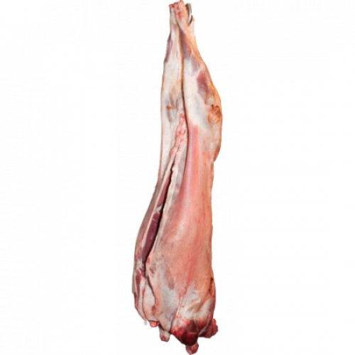  fresh herfi sheep meat Half altaleb organic 