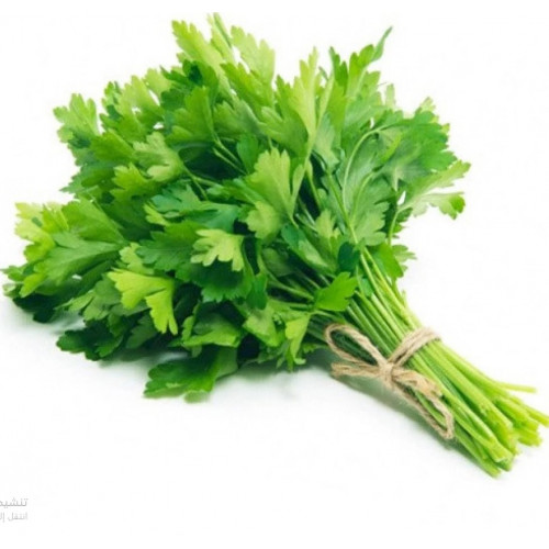Organic parsley alsalwa Farm  
