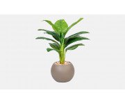 زهور ونباتات صناعية