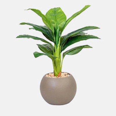 زهور ونباتات صناعية