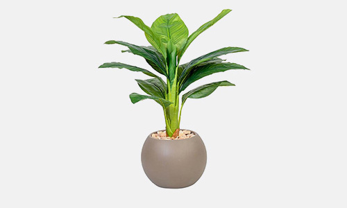 زهور ونباتات صناعية