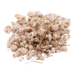 Syrian Dried Lady's Mantle (Alchemilla) - 100g