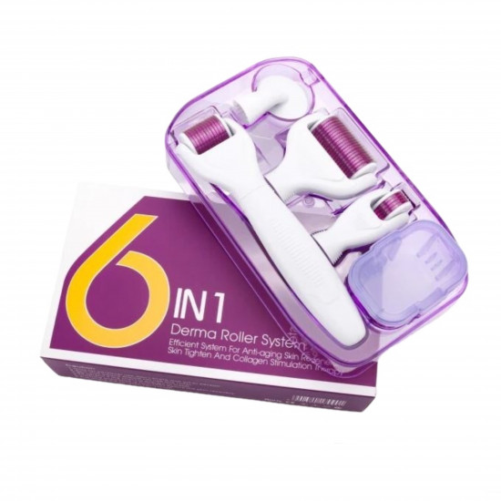 6 In 1 Derma Roller System for Skin Regeneration & Collagen Therapy