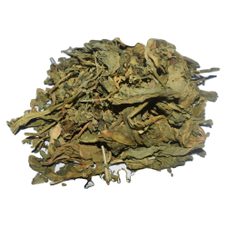 Natural Moroccan Lady's Mantle (Alchemilla) - 50g 