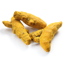 Indian Turmeric Roots