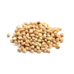 Indian Coriander Seeds