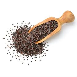 Indian Black Mustard Seeds