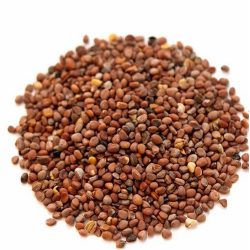 Natural Saudi Radish Seeds - 100g