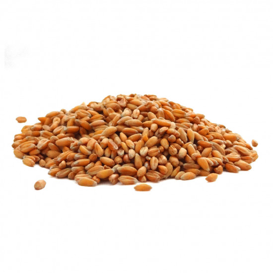 Natural Garden Cress Seeds Size 200g Natural Garden Cress Seeds Size 200g