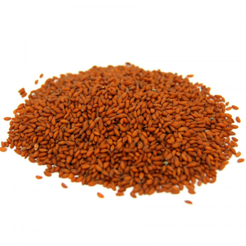Natural Saudi Watercress Seeds - 100g Natural Saudi Watercress Seeds - 100g