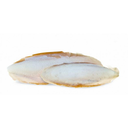 لسان البحر